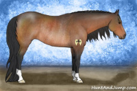 Horse Color:Brown Rabicano 