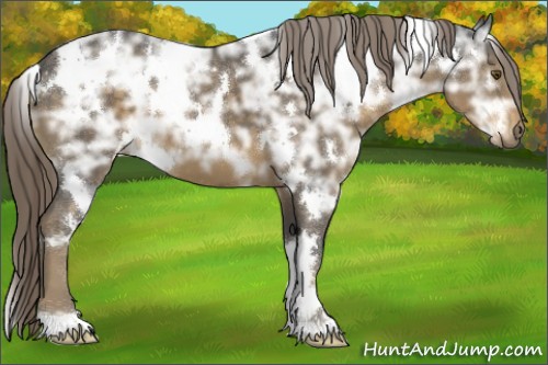 Horse Color:White Spotted Chocolate Palomino Ice 