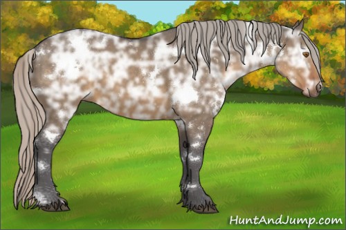 Horse Color:White Spotted Silver Buckskin Ice Dun 