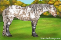 Horse Color:White Spotted Silver Buckskin Ice Dun 