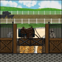 Horse Color:White Spotted Gold Cream Champagne 