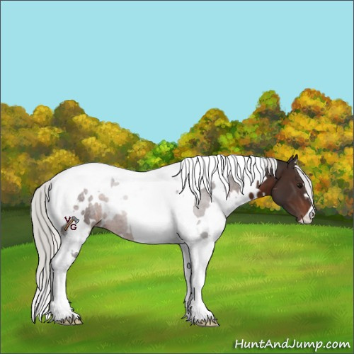 Horse Color:White Spotted Silver Brown Tobiano 