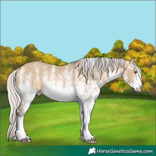 Horse Color:White Spotted Silver Buckskin Dun Rabicano 