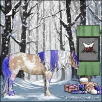 Horse Color:Watercolor White Spotted Bay Rabicano 