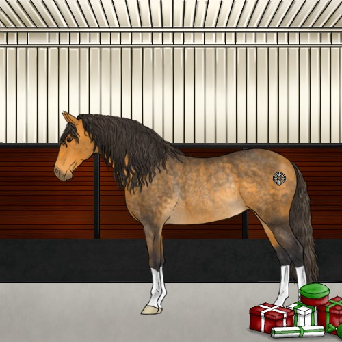 Horse Color:Buckskin Rabicano