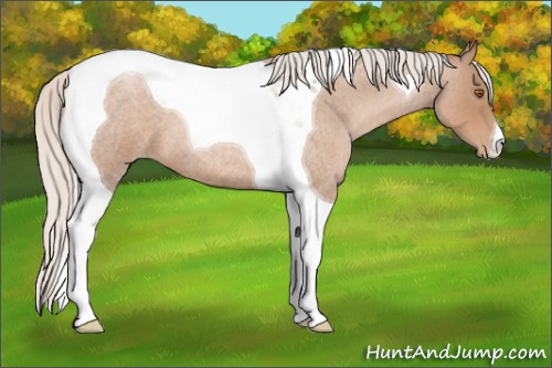Horse Color:Silver Blue Roan Pearl Tobiano 