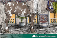 Horse Color:White Spotted Silver Black Rabicano 