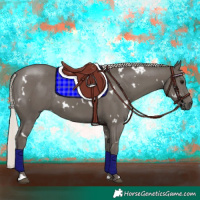 Horse Color:White Spotted Silver Black Rabicano 