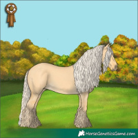 Horse Color:Palomino Dun 