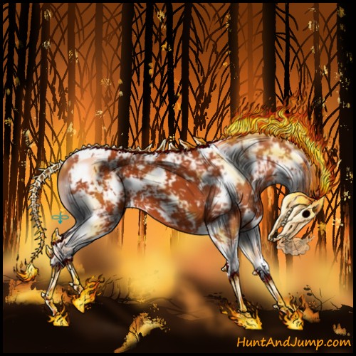 Horse Color:Silver Bay Sabino Appaloosa 