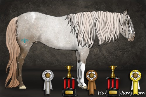 Horse Color:Chocolate Palomino Appaloosa 