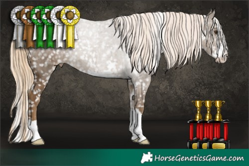 Horse Color:Chocolate Palomino Snowflake Varnish