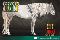 Horse Color:Chocolate Palomino Snowflake Varnish 