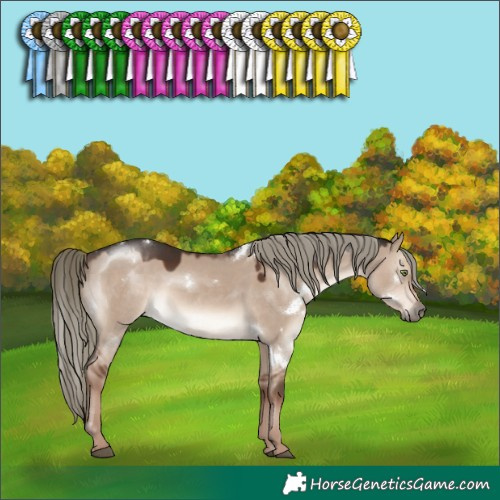 Horse Color:White Spotted Liver Red Dun Mushroom Rabicano 