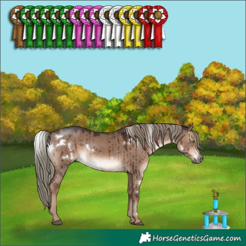 Horse Color:White Spotted Liver Red Dun Mushroom Rabicano Brindle
