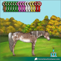 Horse Color:White Spotted Liver Red Dun Mushroom Rabicano Brindle 