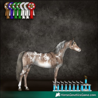 Horse Color:White Spotted Liver Red Dun Mushroom Rabicano Brindle 