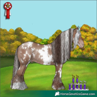 Horse Color:White Spotted Classic Champagne Rabicano 