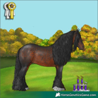 Horse Color:Brown Rabicano 