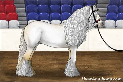 Horse Color:Gray Palomino