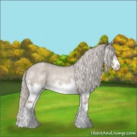 Horse Color:Silver Grullo Roan Splash Frame Varnish Rabicano 