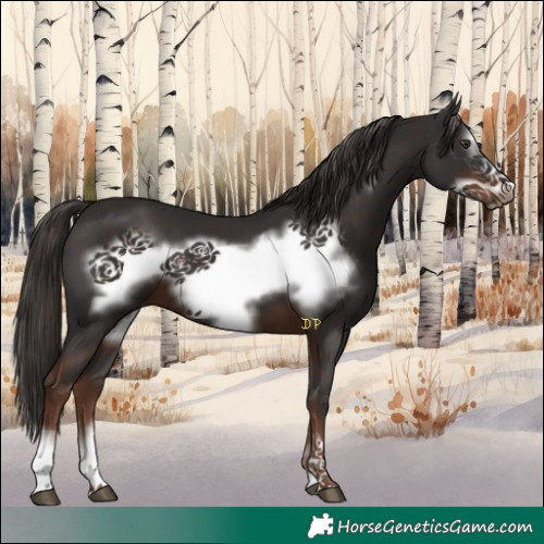 Horse Color:Liver Chestnut Frame 