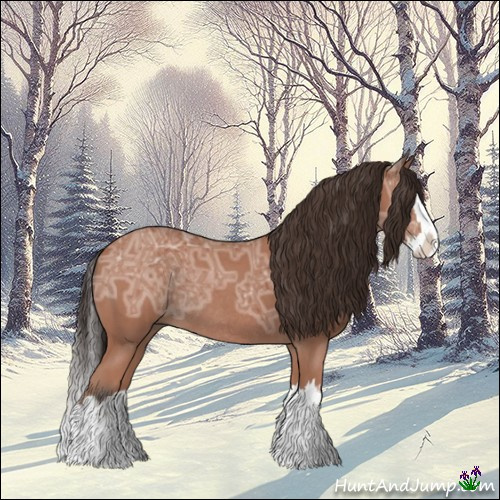 Horse Color:Bay Ice Roan Splash Rabicano