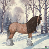 Horse Color:Bay Ice Roan Splash Rabicano 