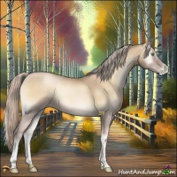 Horse Color:Chocolate Palomino Pearl Onyx 