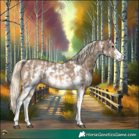 Horse Color:Chocolate Palomino Sabino 