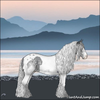 Horse Color:White Spotted Silver Grullo Chinchilla Tobiano 