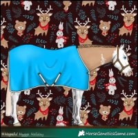 Horse Color:Red Dun Sabino Splash