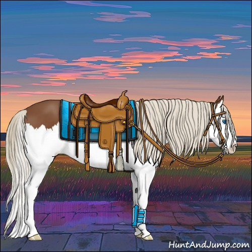 Horse Color:Chestnut Sabino Splash 