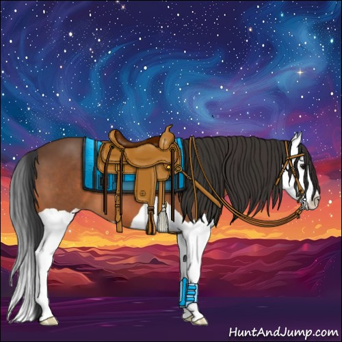 Horse Color:Bay Splash 