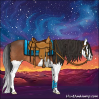 Horse Color:Bay Splash 