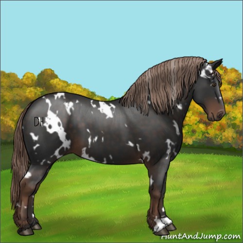 Horse Color:White Spotted Liver Chestnut 