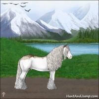 Horse Color:Liver Red Dun Mushroom Splash 