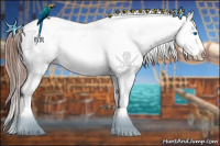 Horse Color:Brown Splash Appaloosa 