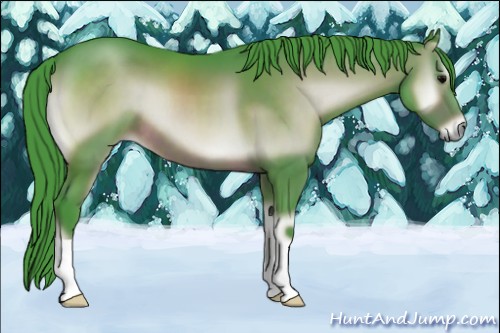 Horse Color:Watercolor Brown Onyx