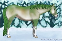 Horse Color:Watercolor Brown Onyx 