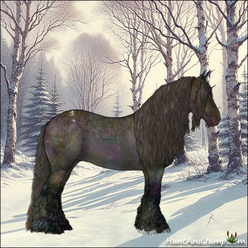 Horse Color:Midnight Bay Ice Varnish 