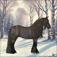 Horse Color:Midnight Bay Ice Appaloosa 
