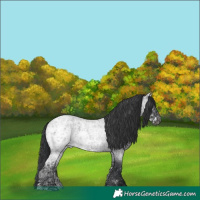 Horse Color:Blue Ice Roan 
