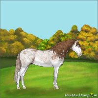 Horse Color:Chestnut Ice Splash 