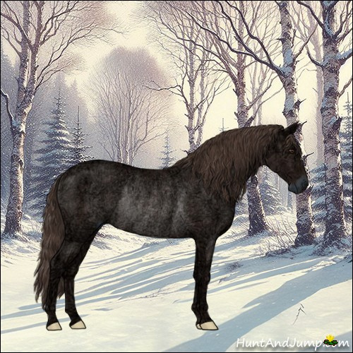 Horse Color:Liver Chestnut Ice Rabicano 