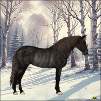 Horse Color:Liver Chestnut Ice Rabicano 