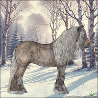 Horse Color:Silver Buckskin Ice Roan Dun 