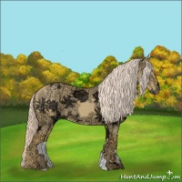 Horse Color:Palomino Ice Dun 