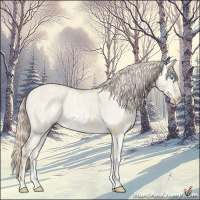 Horse Color:Cremello Ice Dun 