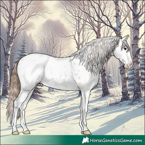 Horse Color:Bay Ice Dun Sabino Near Leopard 